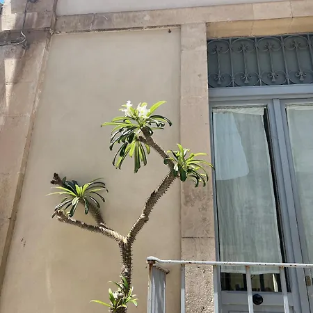 别墅 La Terrazza Barocca